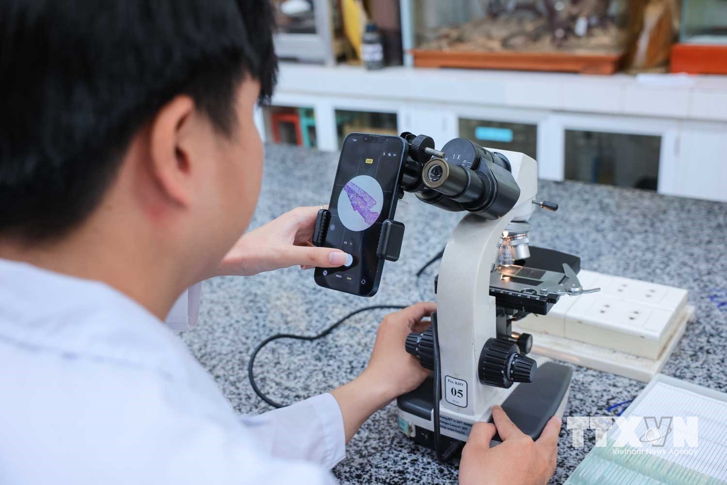 Sinh viên quan sát, ghi nhận kết quả tiêu bản mô học sau nhuộm Hematoxylin và Eosin (H&E). (Ảnh: Hoàng Hiếu/TTXVN)